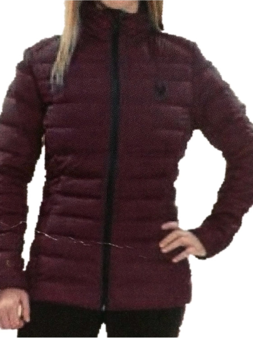 Spyder Down Jacket - Worn one time for a boutique shoot